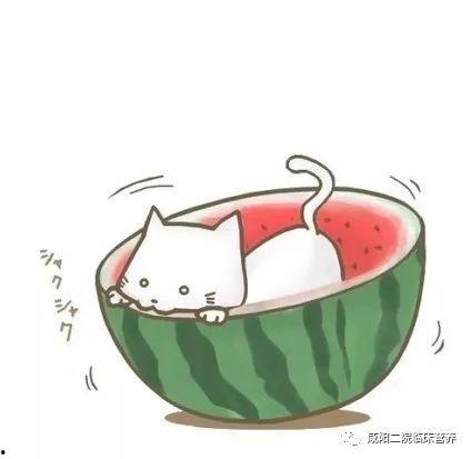 恶搞兔吃瓜头像,笑翻你的朋友圈